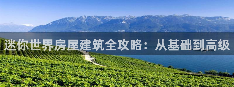 威九國際網(wǎng)站進入客服中心了嗎：迷你世界房屋建筑全攻略：從基礎(chǔ)到高級