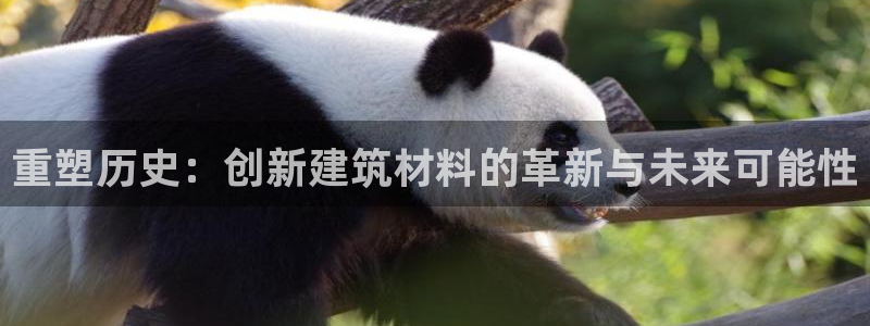 威九國際游戲app(網(wǎng)站)