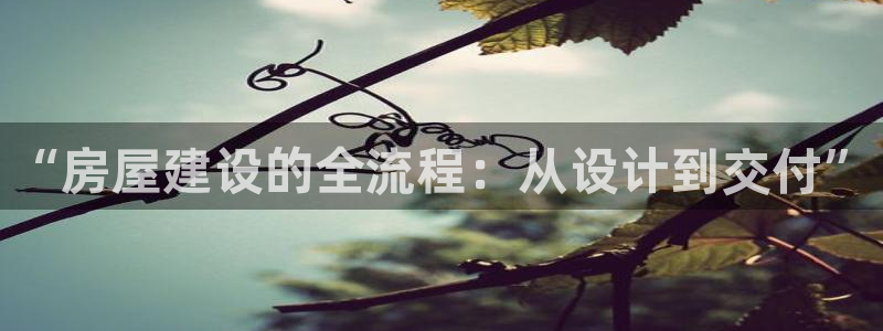 威九國際官網(wǎng)版下載：“房屋建設(shè)的全流程：從設(shè)計(jì)到交付”