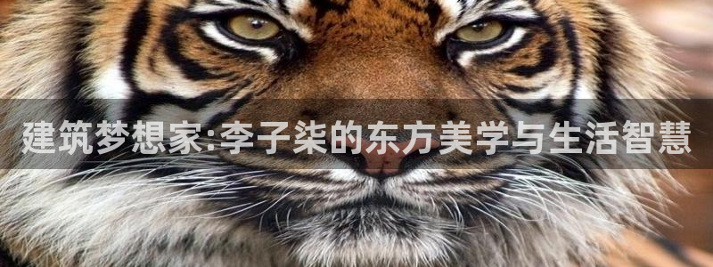 威九國際理論片最經(jīng)典十首歌曲：建筑夢(mèng)想家:李子柒的東方美學(xué)與生活智慧
