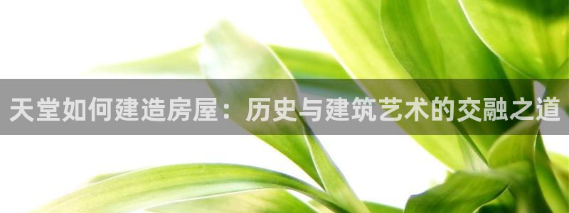 威九國際66：天堂如何建造房屋：歷史與建筑藝術的交融之道