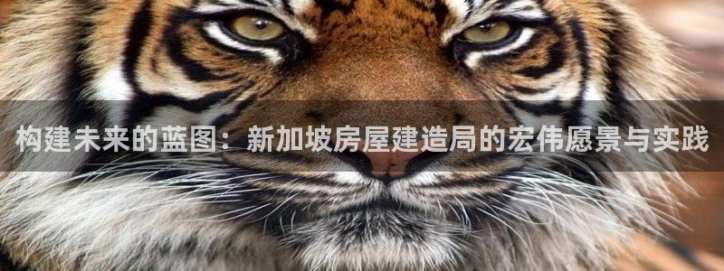 威九國際熱舞：構(gòu)建未來的藍(lán)圖：新加坡房屋建造局的宏偉愿景與實(shí)踐