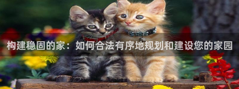 威九國際小說：構(gòu)建穩(wěn)固的家：如何合法有序地規(guī)劃和建設(shè)您的家園