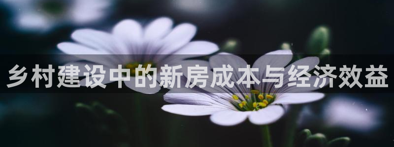 威九國際免費網(wǎng)絡(luò)站：鄉(xiāng)村建設(shè)中的新房成本與經(jīng)濟效益