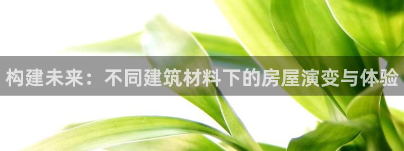 威九國際旗下藝人都有誰：構(gòu)建未來：不同建筑材料下的房屋演變與體驗