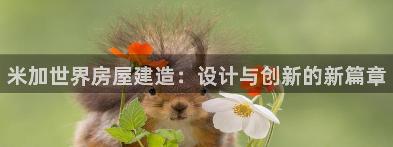 威九國際v96 bet會(huì)黑嗎：米加世界房屋建造：設(shè)計(jì)與創(chuàng)新的新篇章