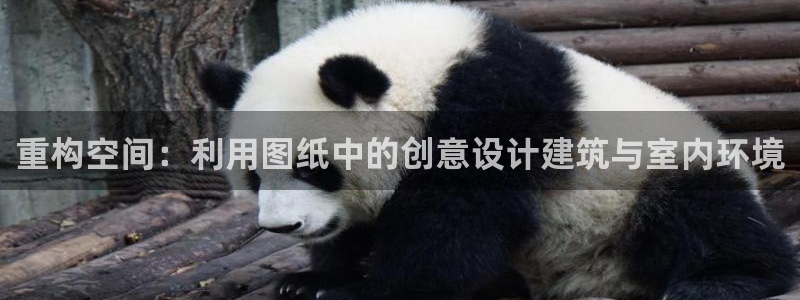 威九國際AN：重構空間：利用圖紙中的創(chuàng)意設計建筑與室內(nèi)環(huán)境