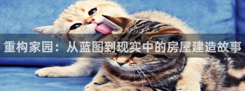 78mapp威九國(guó)際媒體：重構(gòu)家園：從藍(lán)圖到現(xiàn)實(shí)中的房屋建造故事
