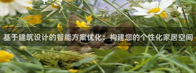 威九國(guó)際可以提現(xiàn)嗎現(xiàn)在：基于建筑設(shè)計(jì)的智能方案優(yōu)化：構(gòu)建您的個(gè)性化家居空間