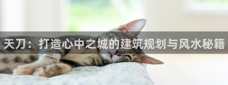 威九國際安全嗎：天刀：打造心中之城的建筑規(guī)劃與風水秘籍