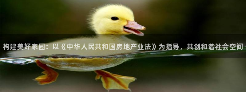 威九國際女：構(gòu)建美好家園：以《中華人民共和國房地產(chǎn)業(yè)法》為指導(dǎo)，共創(chuàng)和諧社會(huì)空間