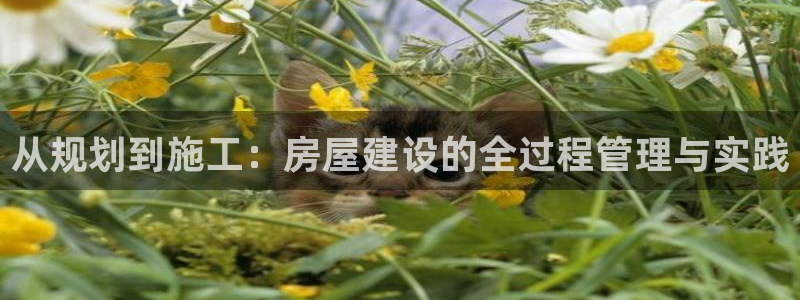 威九國際精甜心詩詞網(wǎng)彩片甜心網(wǎng)甜心詩詞網(wǎng)