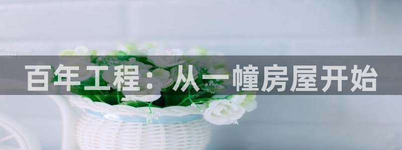 威九國(guó)際78mb下