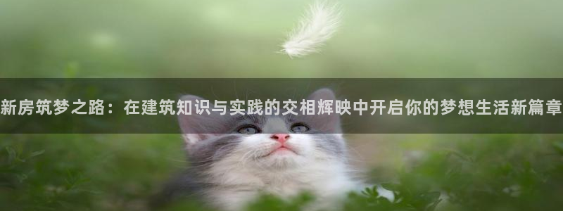 威九國際網(wǎng)站經(jīng)常打不開怎么辦：新房筑夢(mèng)之路：在建筑知識(shí)與實(shí)踐的交相輝映中開啟你的夢(mèng)想生活新篇章