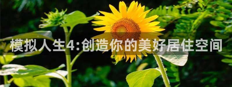 威九國際官方網(wǎng)站最新版本更新內(nèi)容介紹