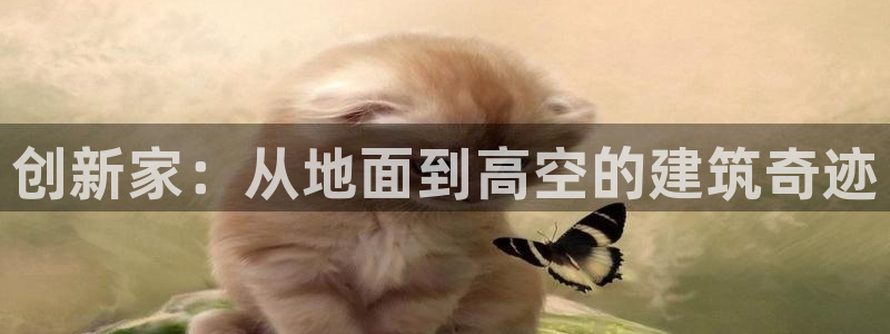 威九國(guó)際清磚碼