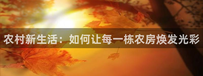 威九國(guó)際系列