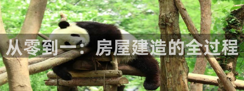 威九國(guó)際集團(tuán)66m一6在線：從零到一：房屋建造的全過(guò)程
