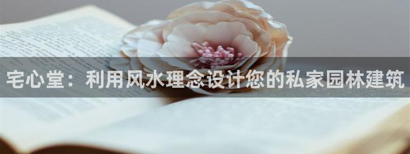 威九國(guó)際EVA0001