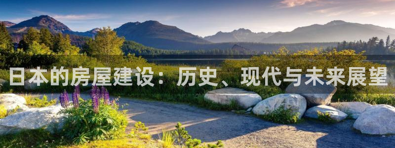 威九國(guó)際韓國(guó)：日本的房屋建設(shè)：歷史、現(xiàn)代與未來(lái)展望