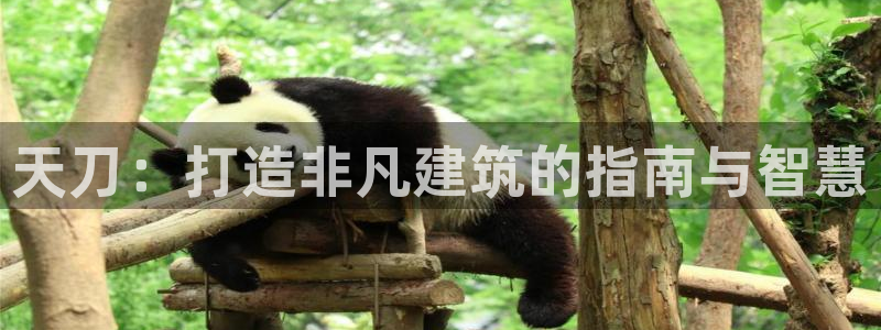 威九國(guó)際精免費(fèi)下載：天刀：打造非凡建筑的指南與智慧