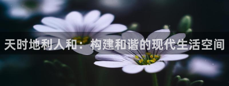 威九國際v96bet下載