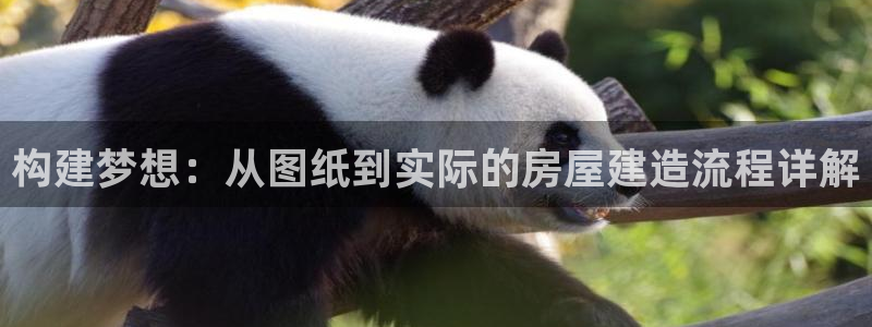 威九國際宣傳片