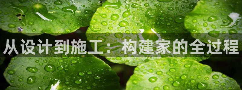 威九國際正規(guī)嗎：從設(shè)計到施工：構(gòu)建家的全過程