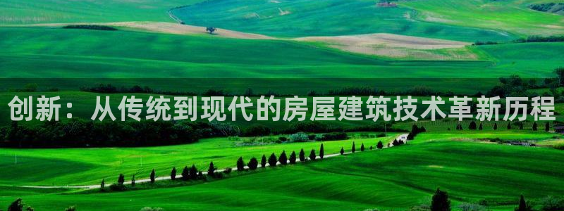 威九國(guó)際網(wǎng)站入囗：創(chuàng)新：從傳統(tǒng)到現(xiàn)代的房屋建筑技術(shù)革新歷程