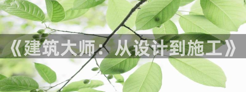 威九國際最新：《建筑大師：從設(shè)計到施工》